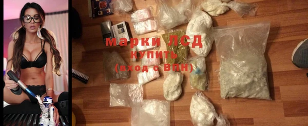 стаф Гусев