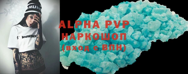стаф Гусев