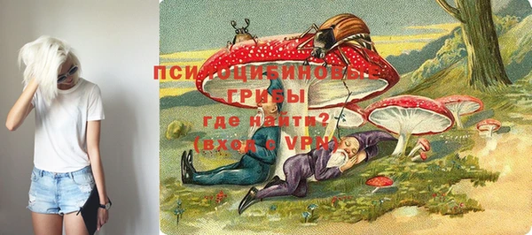 экстази Гусь-Хрустальный