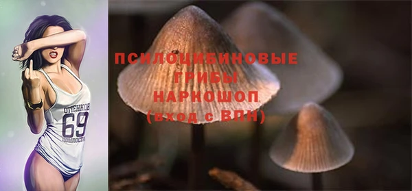 не бодяженный Дмитров