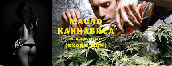шишки Дмитриев