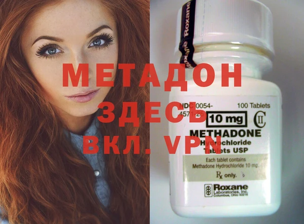 шишки Дмитриев