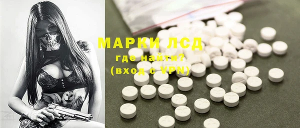 стаф Гусев