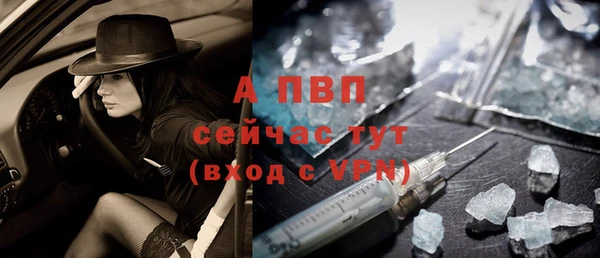 стаф Гусев