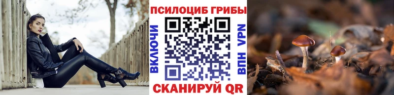 Псилоцибиновые грибы GOLDEN TEACHER Купить где Пугачёв